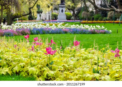 Flowers In Victoria Embankment Gardens In Spring, London, UK