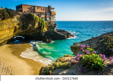 Flowers And View Of A House On A Cliff And A Small Cove At Table Rock Beach, In Laguna Beach, California.