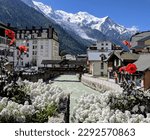 Flowers and view of Mont Blanc, Chamonix, France 