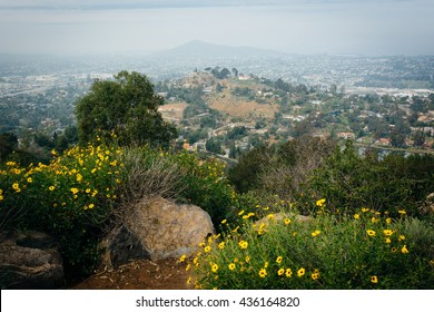 Flowers And View From Mount Helix, In La Mesa, California.