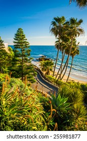 Flowers And View Of The Pacific Ocean At Heisler Park, In Laguna Beach, California.