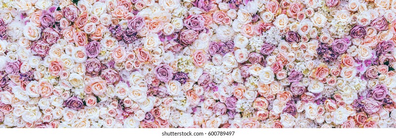 Flowers wall background with amazing red and white roses, Wedding decoration, hand made. Toning