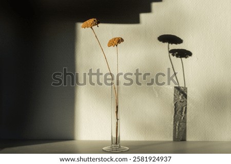 Similar – Image, Stock Photo Floral shadow play on room wall with texture wallpaper