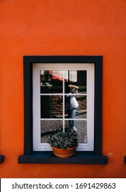 flowers in the window, view from the window