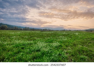 Flowery meadow with mountain views and sunset. Colorful clouds of the end of the day. - Powered by Shutterstock