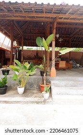 The Flowery Pot In Front Of The Log. Yogyakarta, Indonesia, September 26, 2022, Rumah Tradisional Pendopo Joglo Limasan Terlihat Terbuka Dan Luas Biasa Digunakan Untuk Pertemuan Keluarga, Atau Tamu