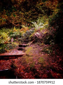 Flowery Stairs In Dove Cottage