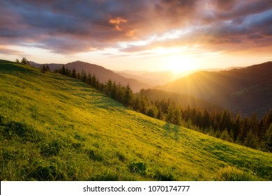 Flowes in the mountains during sunrise. Beautiful natural landscape in the summer time - Shutterstock ID 1070174777