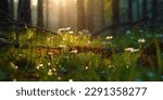 flowet sunny spring meadow. Horizontal close-up with short deep of focus. Natur background concept for leisure and ecology with space for text and design.