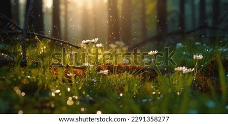 flowet sunny spring meadow. Horizontal close-up with short deep of focus. Natur background concept for leisure and ecology with space for text and design.