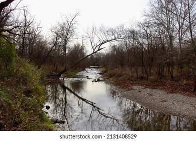 The Flowing Brook In The Forest On A Autumn Day.