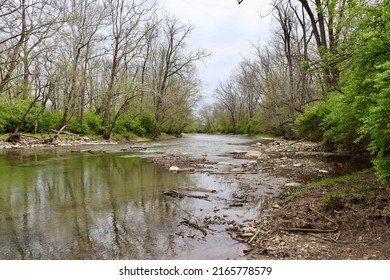 The Flowing Brook In The Forest On A Cloudy Day.