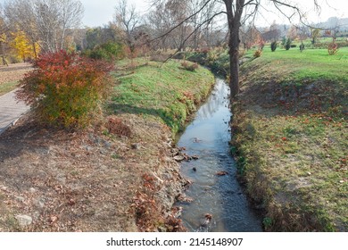 Flowing Brook In The Park . Runnel In The Springtime