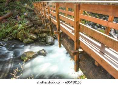 Flowing Creek Along The Hiking Trails In Multnomah County