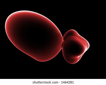 flowing forms