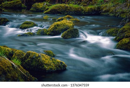 The Flowing Mountain Brook. Slow Water Between Mossy Brooks.