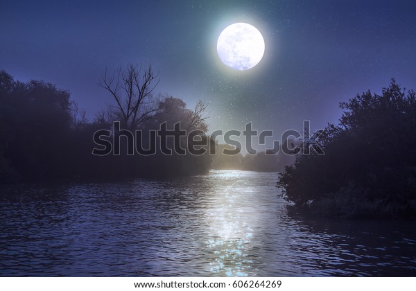 A flowing river in the\
Danube Delta in Romania by night with a full moon reflecting in the\
water