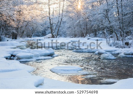 Flowing river in snowy woods