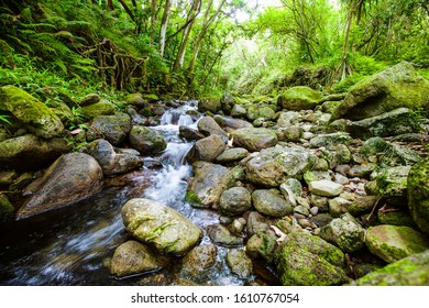 Flowing River From Windward Oahu