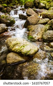 Flowing River From Windward Oahu