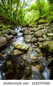 Flowing River From Windward Oahu