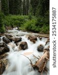 Flowing stream along the paintbrush canyon trail in the grand Teton national park