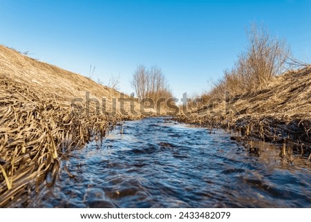 A flowing stream of blue water between hilly banks with yellow dry grass. A stream of melt water. Spring landscape on a sunny day. Shooting close to the water surface