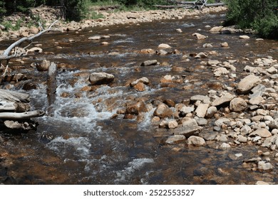A flowing stream of clear water running over rocks and stones with driftwood on the side, creating a tranquil outdoor nature scene.