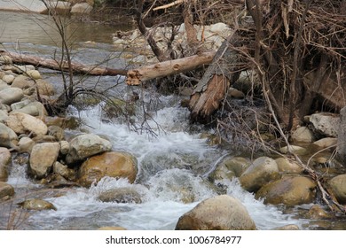 Flowing stream with rocks and branches