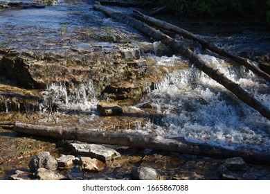 Flowing Stream with Rocks and Logs 