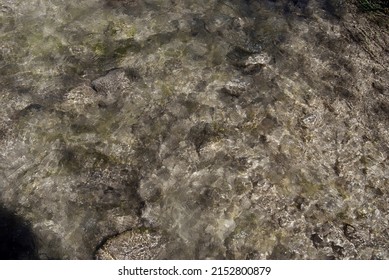 Flowing Water In Clear Creek.