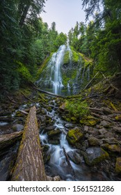 Flowing water and fallen logs at Proxy Falls in Oregon 