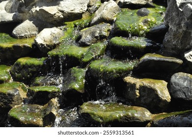 Flowing Water Over Moss-Covered Rocks - Powered by Shutterstock