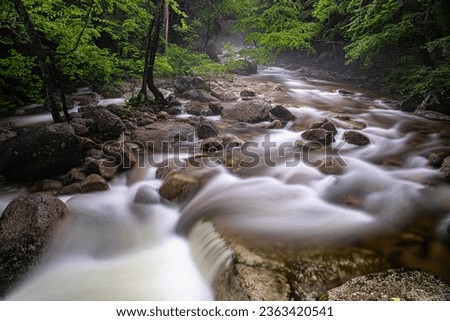 Flowing waters of Sabbaday Brook