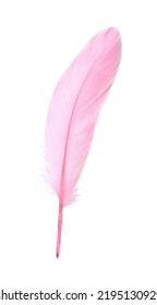 Fluffy Beautiful Pink Feather Isolated On White