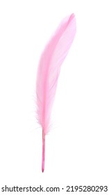 Fluffy Beautiful Pink Feather Isolated On White