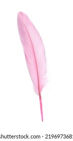 Fluffy Beautiful Pink Feather Isolated On White