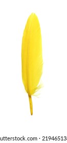 Fluffy Beautiful Yellow Feather Isolated On White