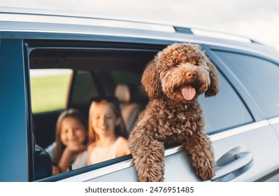 Fluffy brown Maltipoo dog looking out from an open car window, with little girls sitting in the back seats during a car journey. Funny pets in a modern family concept. - Powered by Shutterstock