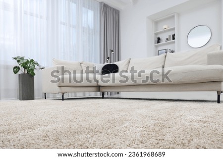 Fluffy carpet and stylish furniture on floor indoors, low angle view