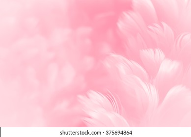 Fluffy cherry blossom pink feather fashion design background - Happy Valentine fuzzy textured soft focused photograph - Fashion Color Trends Spring Summer 2016 Stock Photo