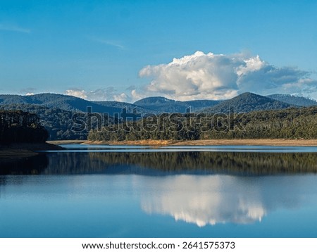 Fluffy Cloud Reflection In Lake