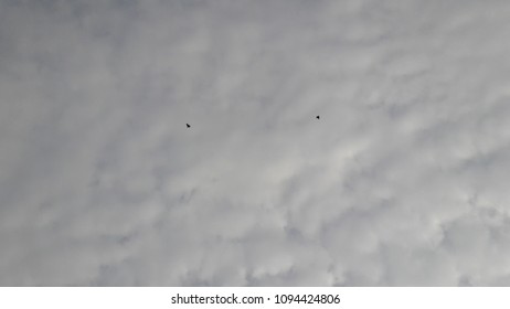 fluffy clouds in sky