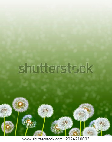 Fluffy dandelion flower against the background of the summer landscape. Wildflower