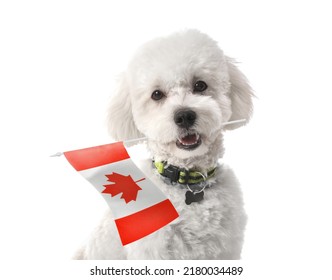 Fluffy Dog With Flag Of Canada Isolated On White