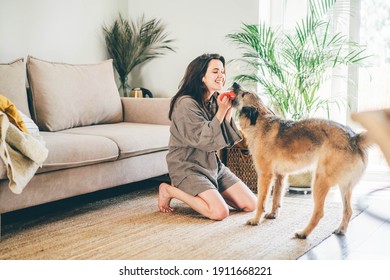 Fluffy dog playing with positive brunette woman owner on floor near soft sofa in living room at home.