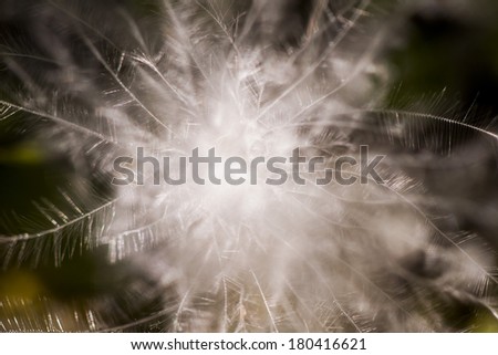 Similar – Image, Stock Photo Blue Nature Macro Photography.Floral Art Design.