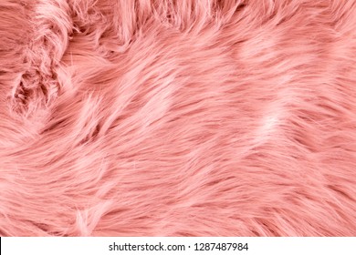 Fluffy Fake Textile Fur. Coral Color. Fur Pattern. Flat Lay, Top View, Copy Space 
