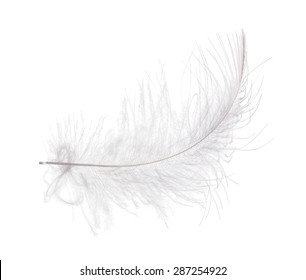 218,328 Fluffy feathers Images, Stock Photos & Vectors | Shutterstock