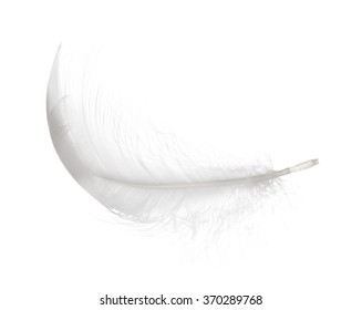 Fluffy Feather Isolated On White Background